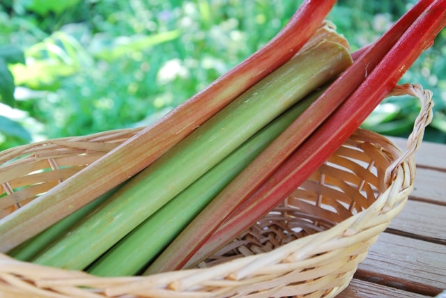 ルバーブはどんな野菜？毒があるって本当？食べ方や保存方法も解説します！